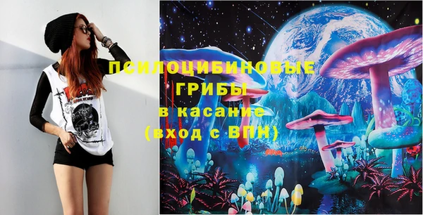 тгк Богородицк