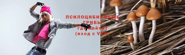 тгк Богородицк