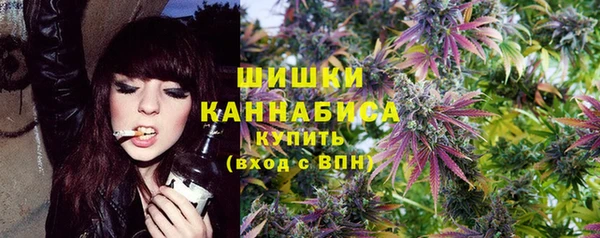 тгк Богородицк