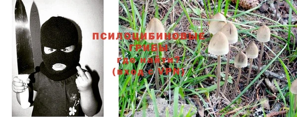 apvp Богданович