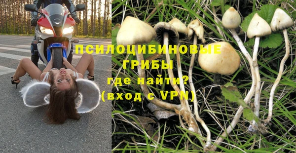 apvp Богданович