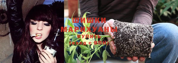 apvp Богданович