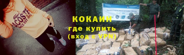 тгк Богородицк