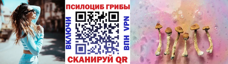 что такое наркотик  Тула  Псилоцибиновые грибы Psilocybine cubensis 